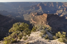 galleries-grand-canyon-11